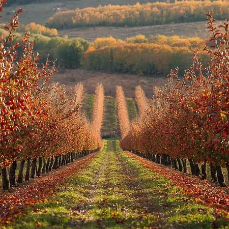 Modersnhof - Idylle Apartamento *